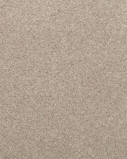 Willow Creek Textured SmartStrand 40oz Carpet