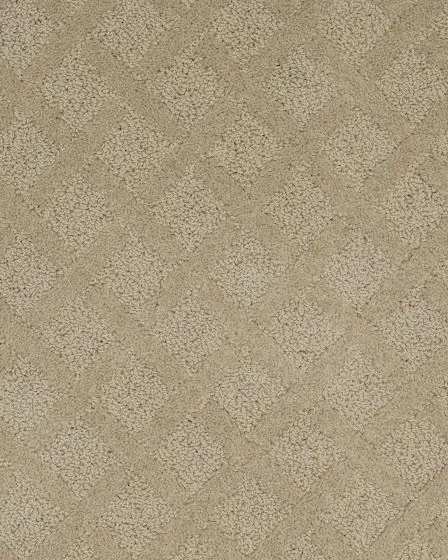 Momentous Beauty Patterned SmartStrand Carpet