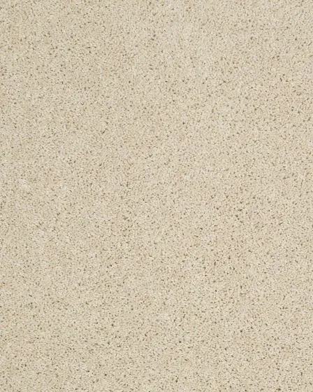 Hillcrest II Textured Nylon 29oz Carpet