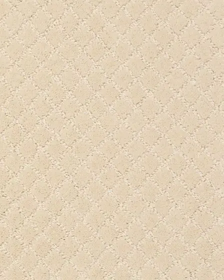 Pawnache Patterned Nylon Carpet