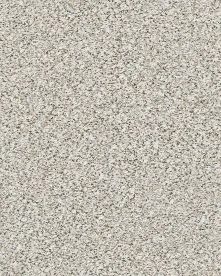 Pikes Peak Textured Nylon Carpet