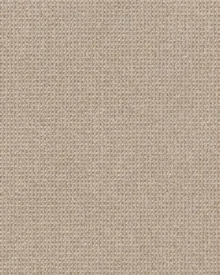 Purrfection Pet Friendly Nylon Carpet