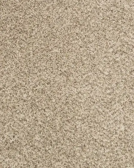 Purrsonality III Pet Friendly 75oz Carpet