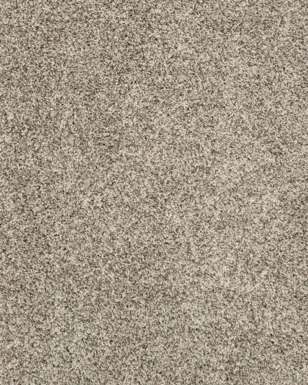 Purrsonality I Pet Friendly 48oz Carpet