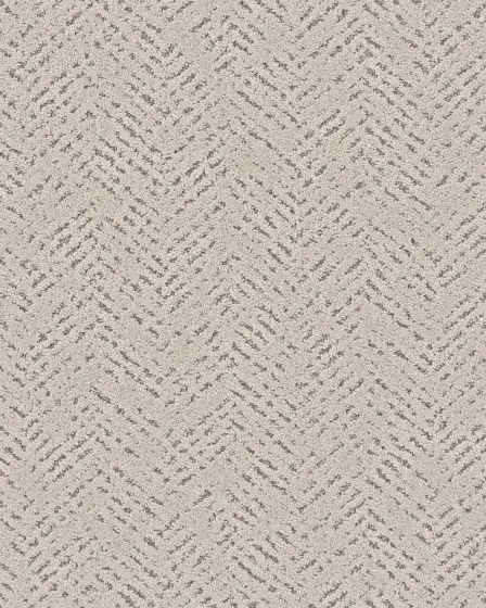 Quiet Trail Pet Friendly 43oz Carpet