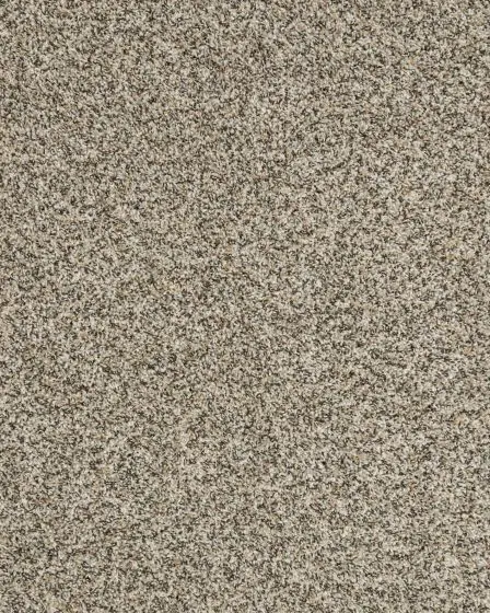 Raise The Woof I Pet Friendly 40oz Carpet