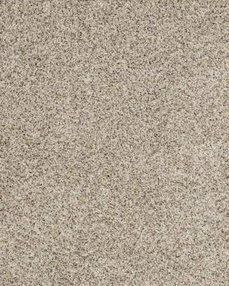 Raise The Woof II Pet Friendly 53oz Carpet