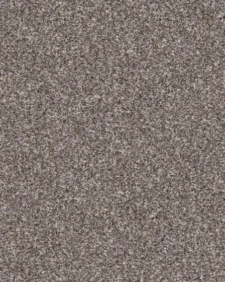 Refined Chic Alaskan Air Textured Carpet