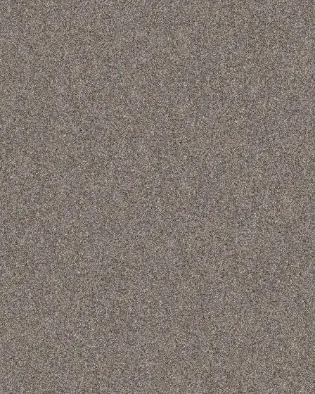 Refined Chic Chic Greige Textured Carpet