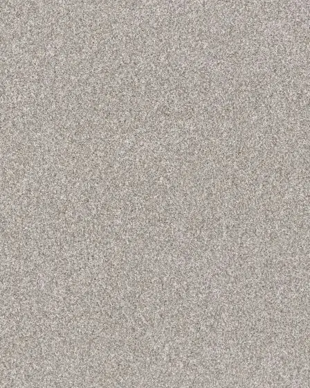 Refined Chic Frozen Textured Carpet