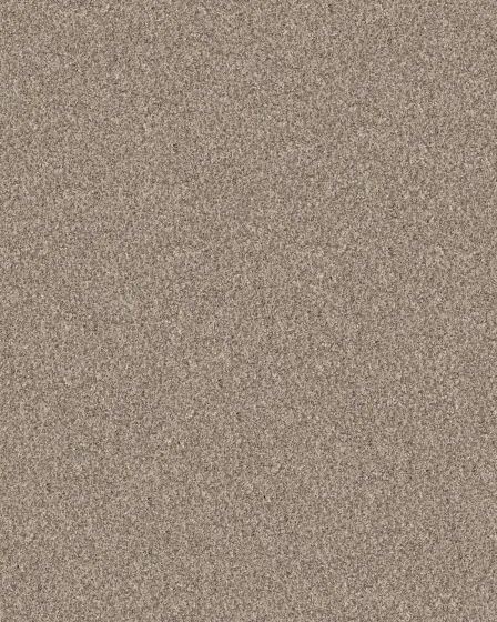 Refined Chic Natural Textured Carpet