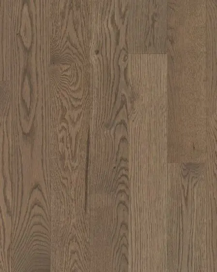 Natural Forest White Oak Tree Top 3 1/4" Solid Hardwood