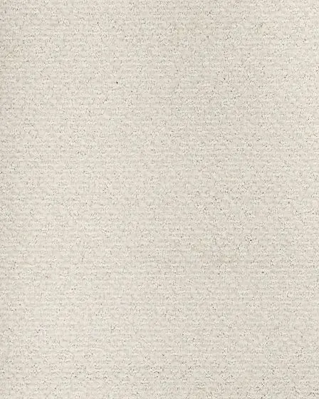 Peaceful Balance Nylon Carpet