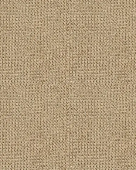 Smart Thinking Textured Loop Nylon Carpet