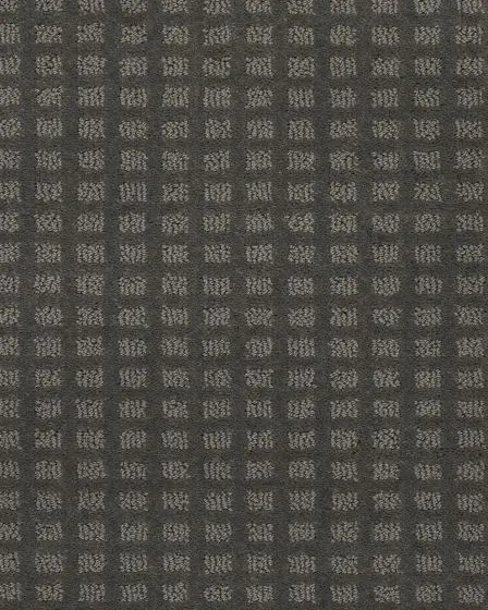Structural Charm Patterned SmartStrand Carpet