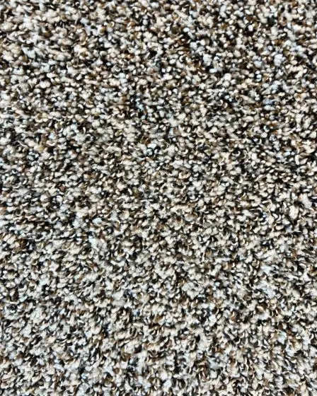 Soft Impact B Studio Textured Berber Carpet
