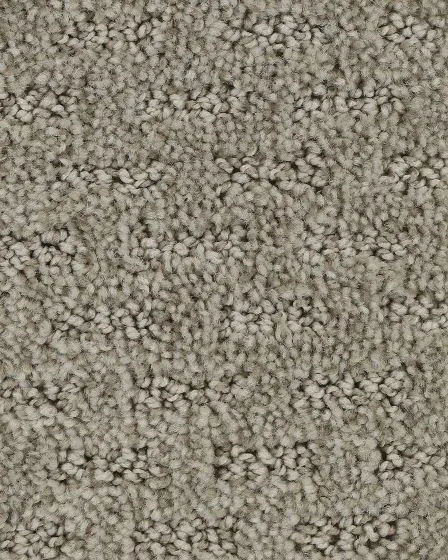 Stylish Attraction Patterned EverStrand Carpet