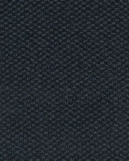 Subtle Allure Patterned SmartStrand Carpet