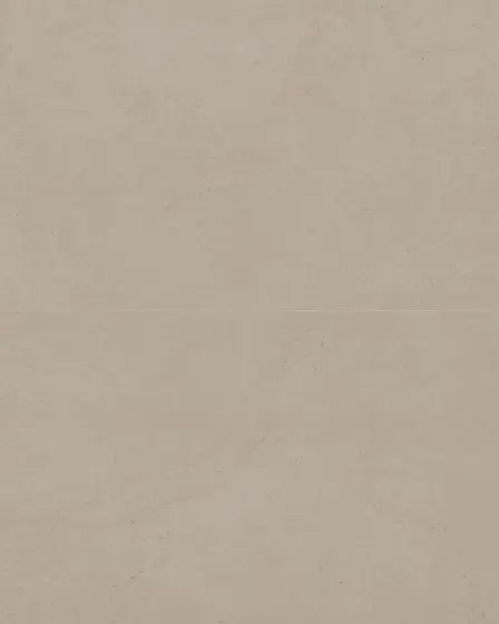 Thaddeus Taupe Matte Glazed Porcelain 24"x48" Field Tile