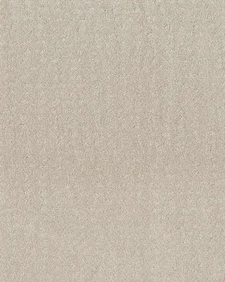 Trendy Nylon 34oz Carpet