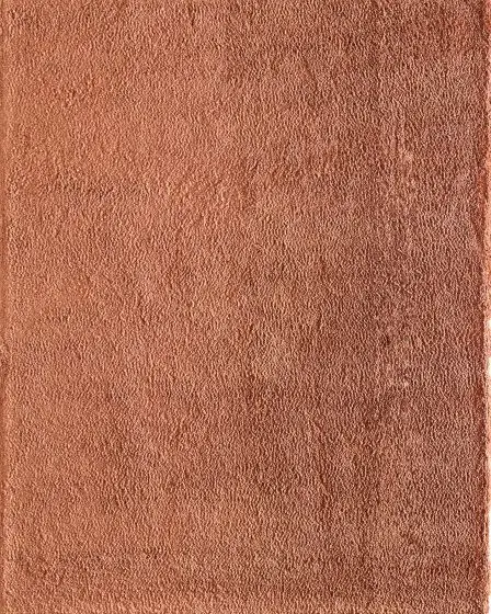 Tula 8A98F Orange Area Rug