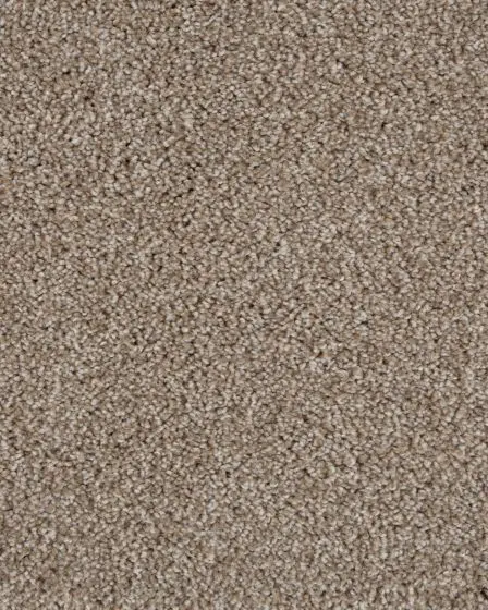 Value 42 Shoreline Textured Everstrand 42oz Carpet