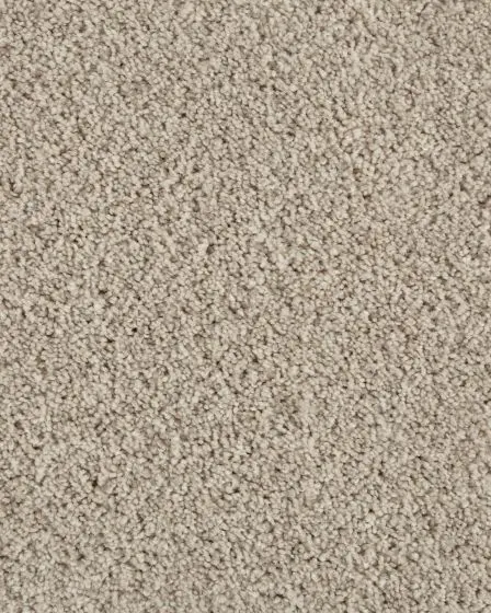 Value 42 Textured Everstrand Polyester 42oz Carpet