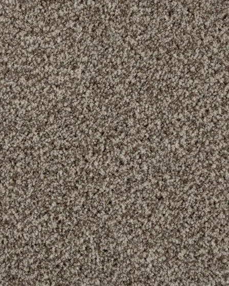 Value 60 Sandy Shore Textured Everstrand 57oz Carpet