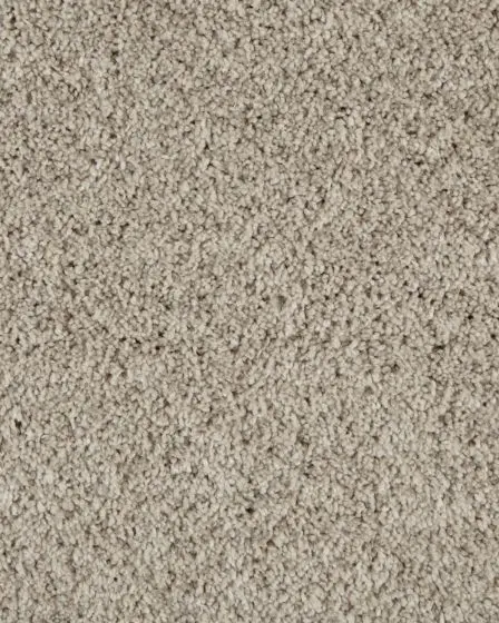 Value 60 Textured Everstrand Polyester 57oz Carpet