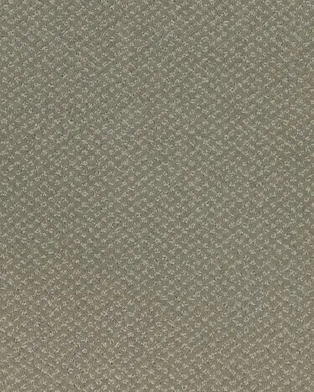 Welcome Tradition SmartStrand 49oz Carpet