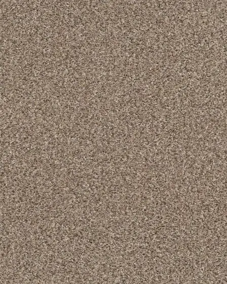 Yes You Can I Textured 43oz Carpet