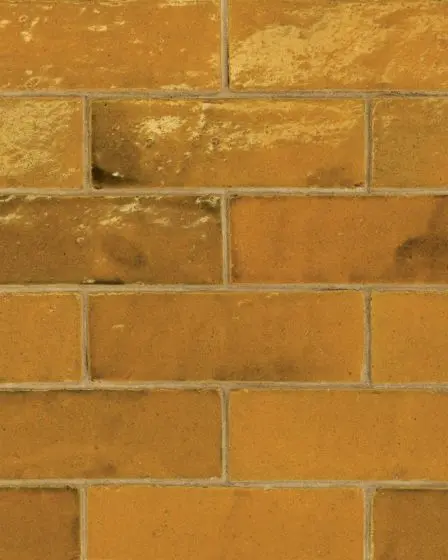 Zagora Caramel Glossy Glazed Ceramic 2"x6" Field Tile