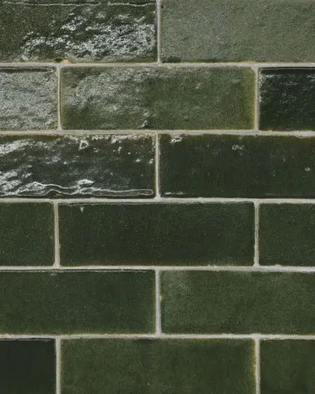 Zagora Vert Mousse Glossy Glazed Ceramic 2"x6" Field Tile