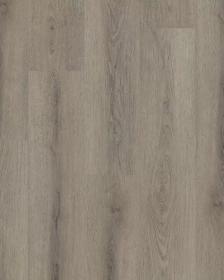Paladin Plus Ashen Brown Luxury Vinyl