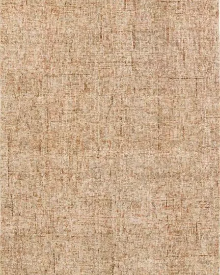 Calisa CS5 Desert Area Rug