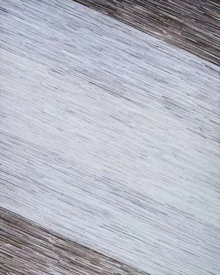 Prairie Windswept Bark-Grey Area Rug