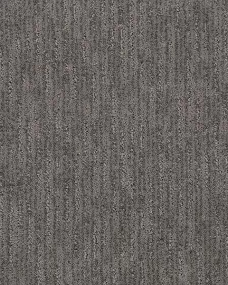 Pure Finish Shilling Carpet