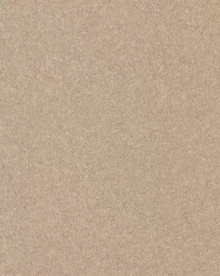 Quality Life Textured SmartStrand 55oz Carpet