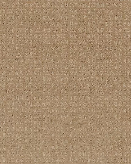 Quality Space SmartStrand 40oz Carpet