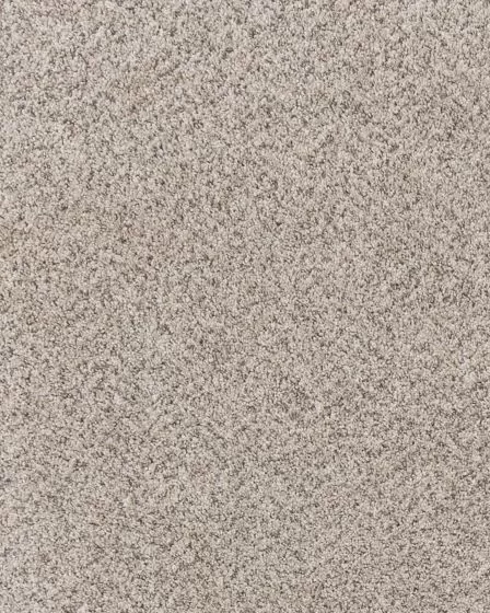 Canine Comfort Pet Friendly 85oz Carpet