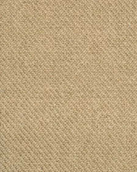 Imbue Limoncello Carpet