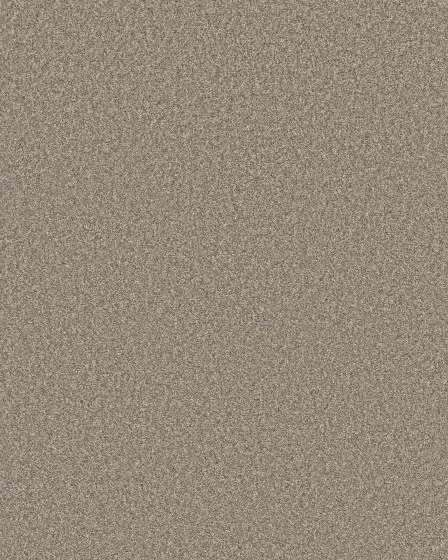 Monumental II 53oz Pet Friendly Textured Carpet