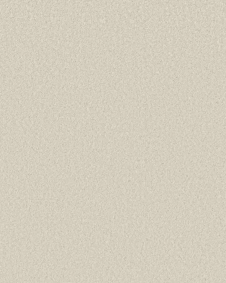 Sincere Beauty II 68oz Pet Friendly Textured Carpet