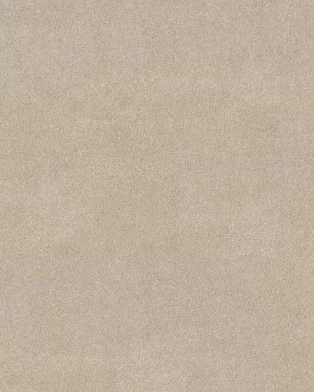 Thoughtful Beauty II 68oz Pet Perfect Textured Carpet