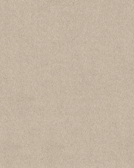 Pawsitive T Dune View Carpet