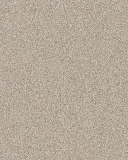 Pawsitive T Beige Mist Pet Friendly Textured 40oz Carpet