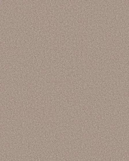 Pawsitive T Baja Pet Friendly Textured 40oz Carpet