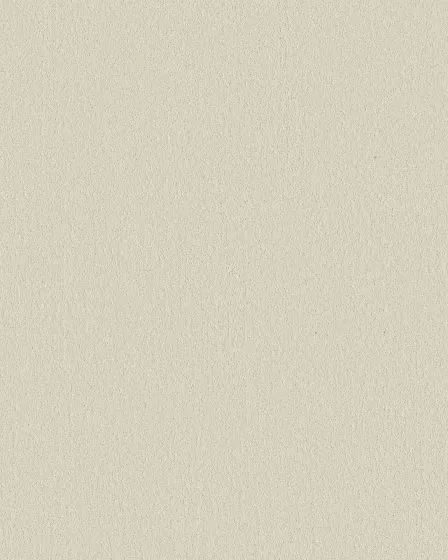 Smooth Tone 58oz Textured Pet Friendly Carpet