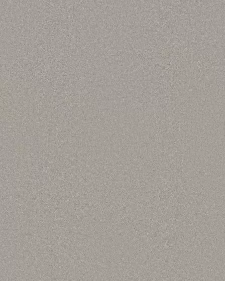 Smooth Tone Distant Star 58oz Textured Pet Friendly Carpet