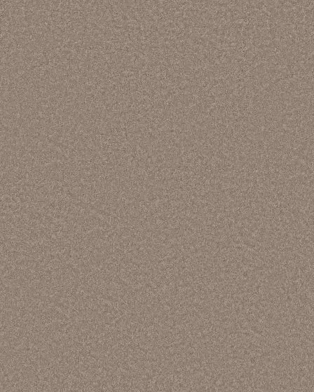 Smooth Tone Latte 58oz Textured Pet Friendly Carpet